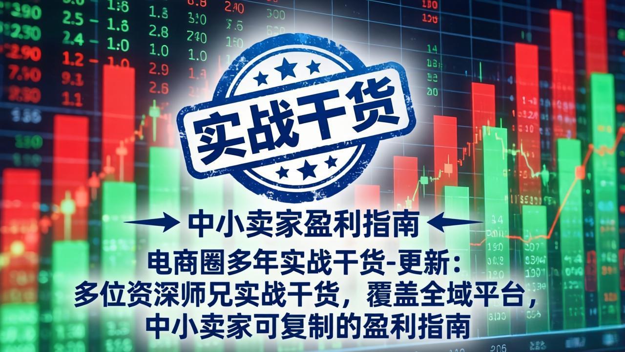 电商圈多年实战干货-更新2026：多位资深师兄实战干货/覆盖全域平台，中小卖家可复制的盈利指南-福创网