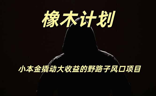 小投入撬动高回报的风口野路子项目,一天投入2小时左右