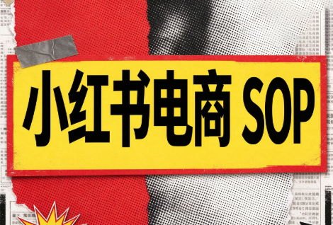 书豪必胜小红书电商sop(更新9月) - 福创网