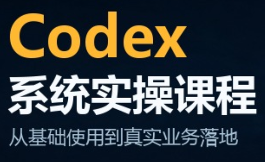 codex系统实操课程(更新10月) - 福创网